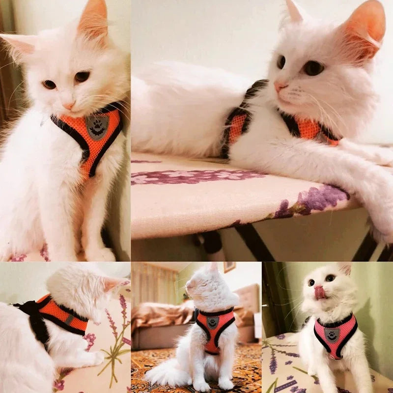 Adjustable Mesh Pet Harness with Leash – Breathable Vest for Small & Medium Dogs or Cats