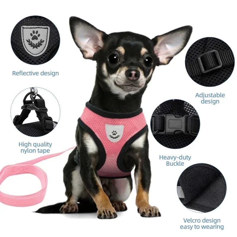 Adjustable Mesh Pet Harness with Leash – Breathable Vest for Small & Medium Dogs or Cats