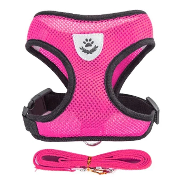 Adjustable Mesh Pet Harness with Leash – Breathable Vest for Small & Medium Dogs or Cats