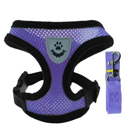 Adjustable Mesh Pet Harness with Leash – Breathable Vest for Small & Medium Dogs or Cats
