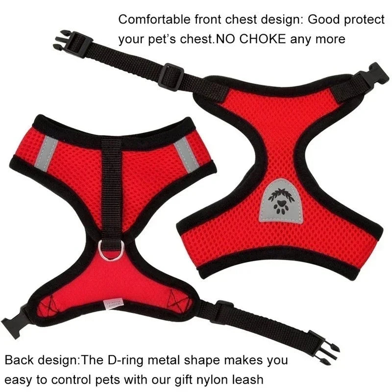 Adjustable Mesh Pet Harness with Leash – Breathable Vest for Small & Medium Dogs or Cats