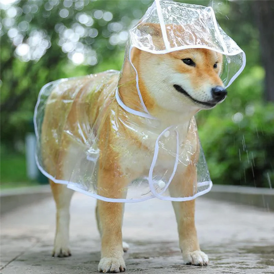 Transparent Dog Raincoat with Hood – Waterproof Pet Jacket for Rainy Days