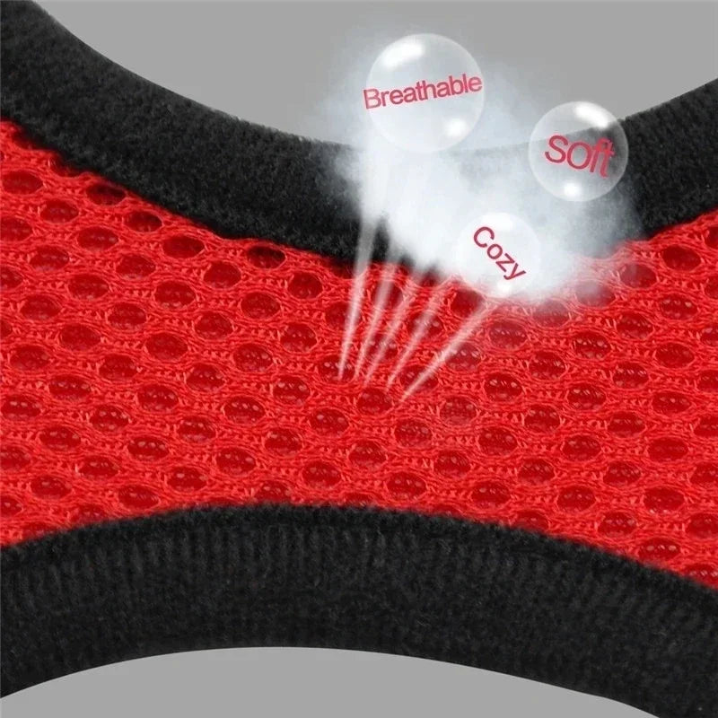 Adjustable Mesh Pet Harness with Leash – Breathable Vest for Small & Medium Dogs or Cats