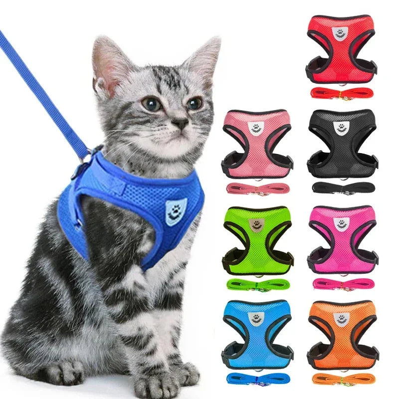Adjustable Mesh Pet Harness with Leash – Breathable Vest for Small & Medium Dogs or Cats