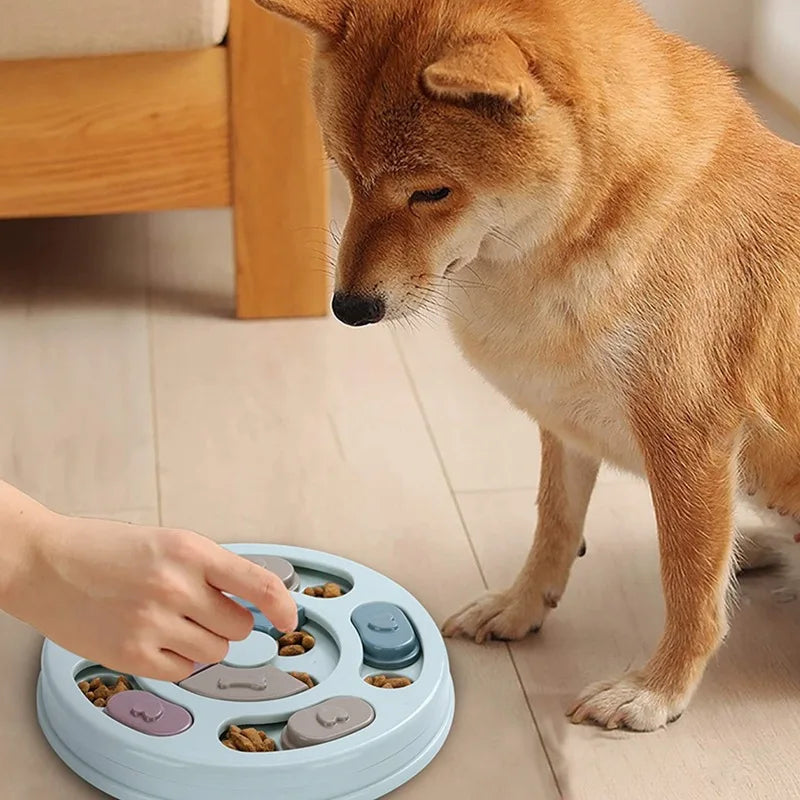 Interactive Dog Food Puzzle Bowl – Slow Feeder & Training Toy to Relieve Boredom