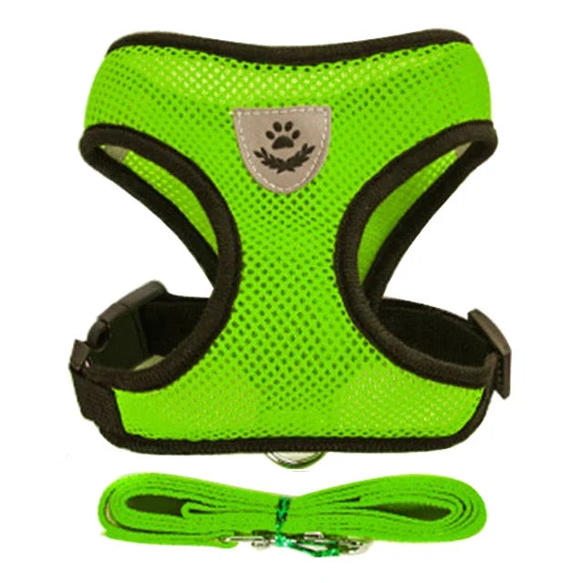 Adjustable Mesh Pet Harness with Leash – Breathable Vest for Small & Medium Dogs or Cats