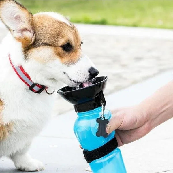 Portable Dog Water Bottle with Built‑In Bowl – 500ml Leak Proof, Ideal for Walks, Travel & Outdoor Adventures