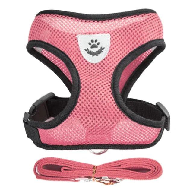 Adjustable Mesh Pet Harness with Leash – Breathable Vest for Small & Medium Dogs or Cats